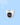 Panoramic Cameras